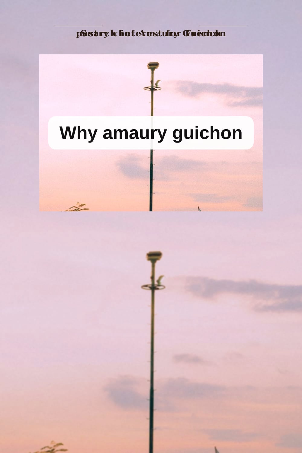 Why amaury guichon | Amaury Guichon: The French Pastry Chef’s Rising Trend